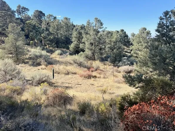 0 Homeridge Dr, Pinon Hills, CA 92372