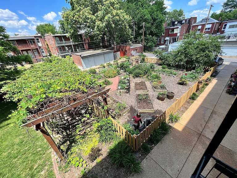 Overlooking the community garden from the fire escape.