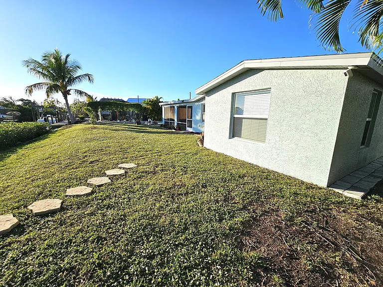 Back yard