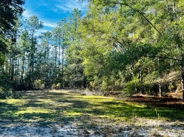 6109 NW 15th Ave, Bell, FL 32619