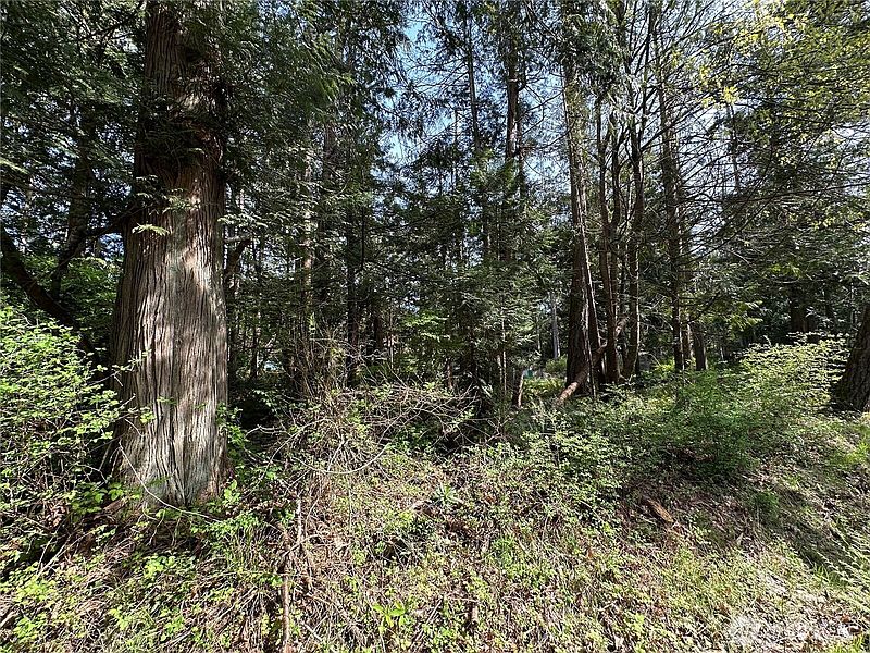 4th image of 0 Lot 9 Tyee Drive