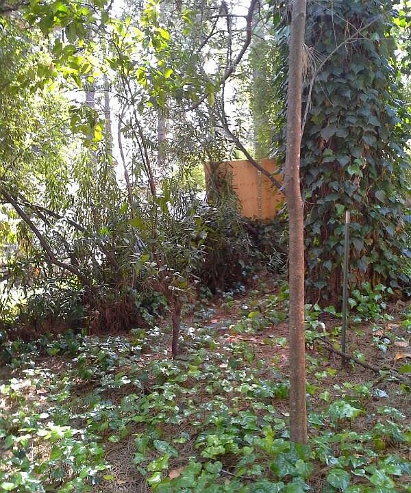 part of large yard