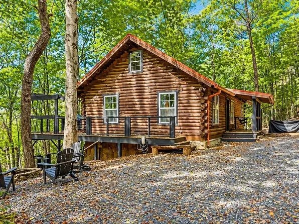 325 Pettit Ridge Rd, Ellijay, GA 30536