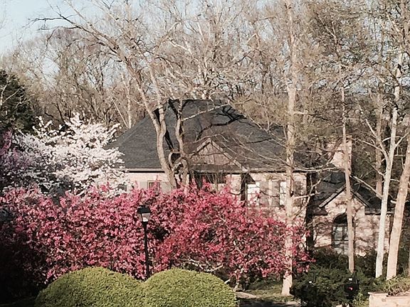 A Spring time wonder