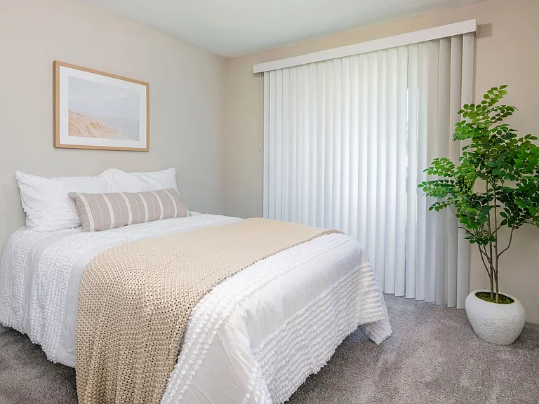 Embrace the sun's warmth with a large slider leading to your private patio in our spacious bedrooms with plush carpeting and wood-style blinds.