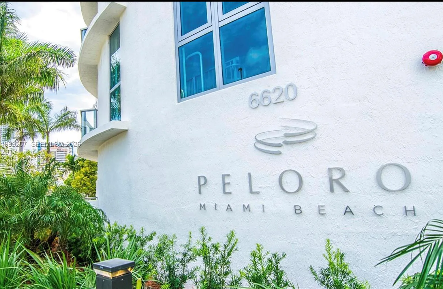 Peloro — Photo 3