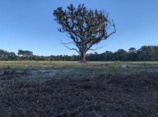 172 Court And Nr 35th St, Williston, FL 32696