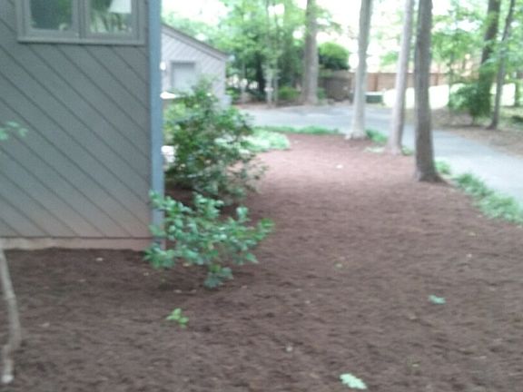 Side View & Basketball Pad