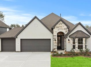 8248 Mount Washburn Ln, Porter, TX 77365