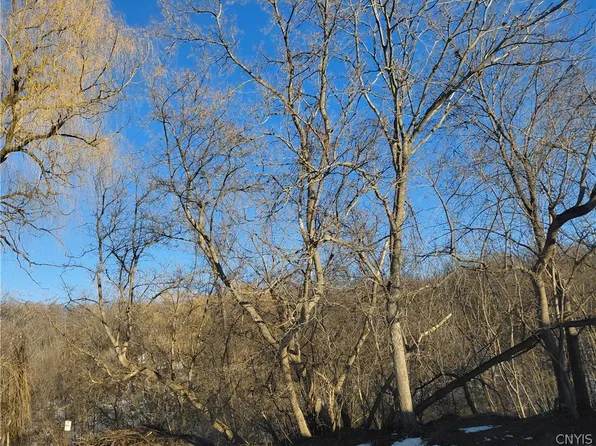 207 Worden Ave Lot 14, Nedrow, NY 13120