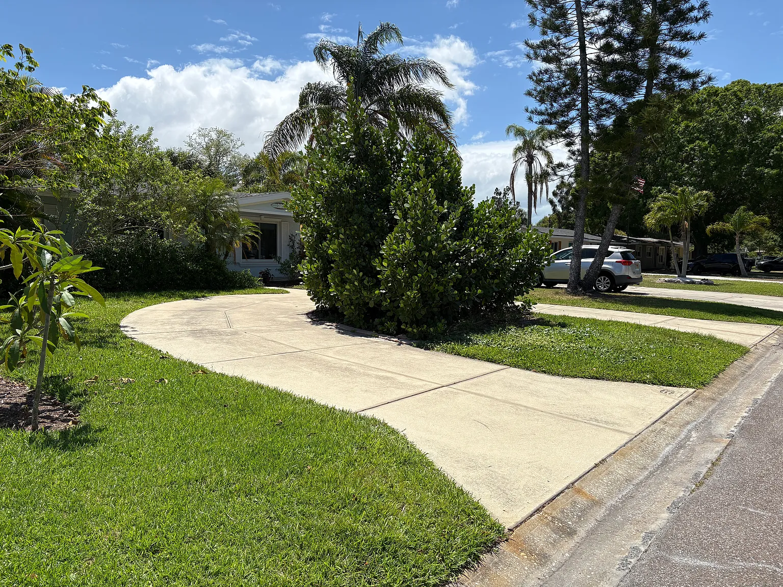 3 bed, 1242 sqft, $3,600 — Photo 2