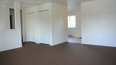 4th image of 501 Campanula Ave