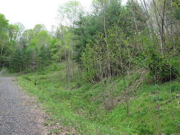 4th image of Leaning Pine Drive