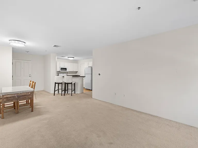 30 Franklin St #309 — Photo 8