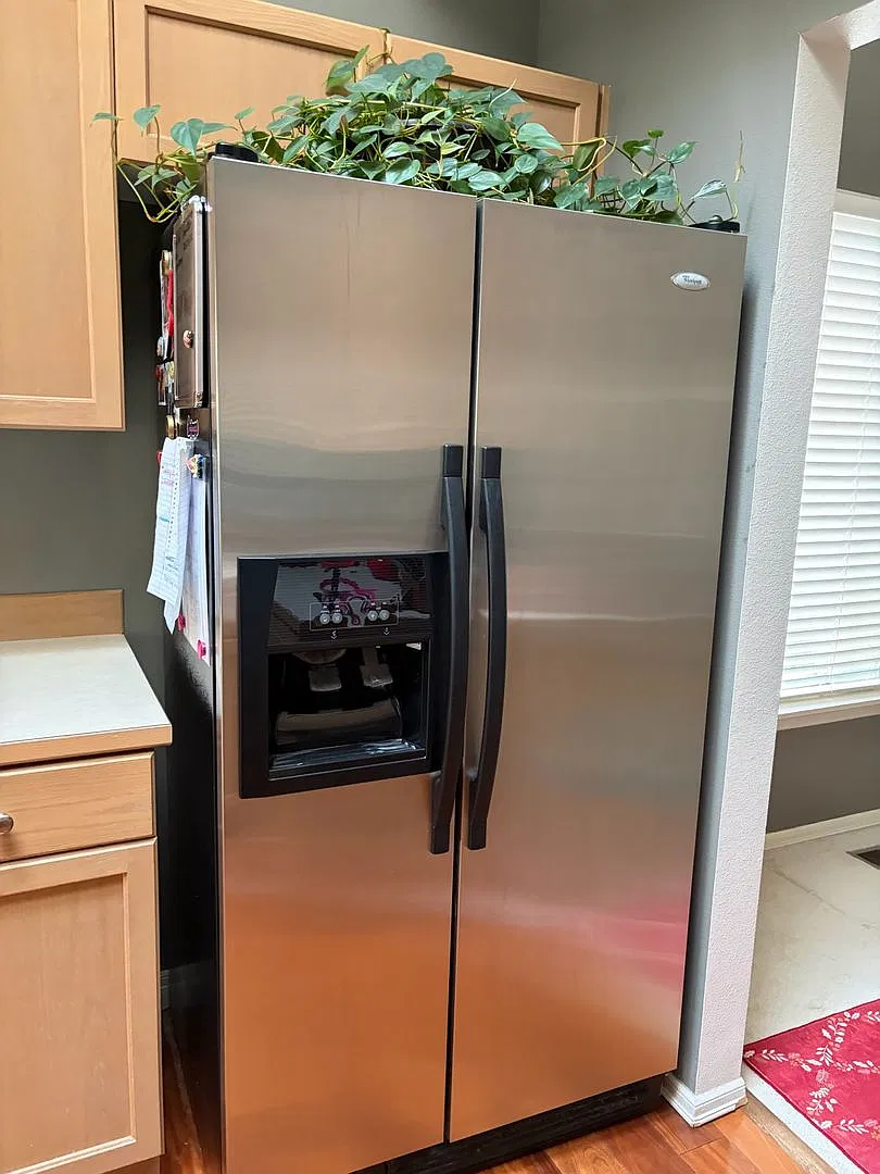 Desirable 3 bedroom/2 bath rambler located in Gleneagle — Photo 3