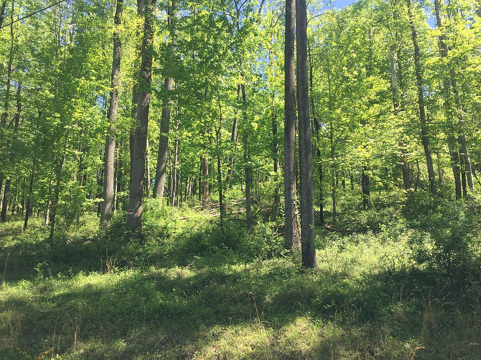 1st image of Poplar Dr