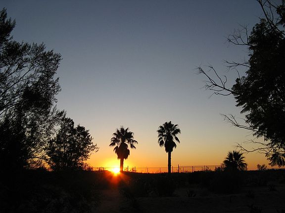 sunrise over backyard