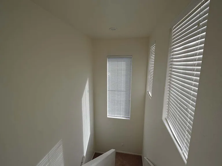 6670 Tulip Falls Dr — Photo 45