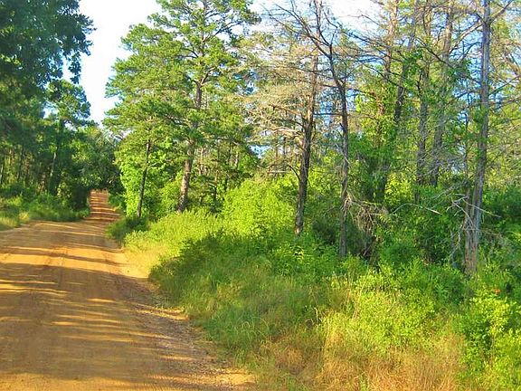 5th image of 0 County Road 2920