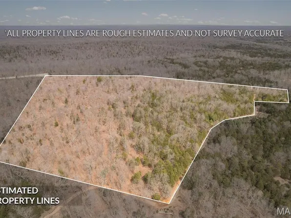 LOT 4 Thunder Ridge Rd, Richwoods, MO 63071