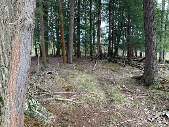 18087 Seventeen Mile Rd, Leroy, MI 49655