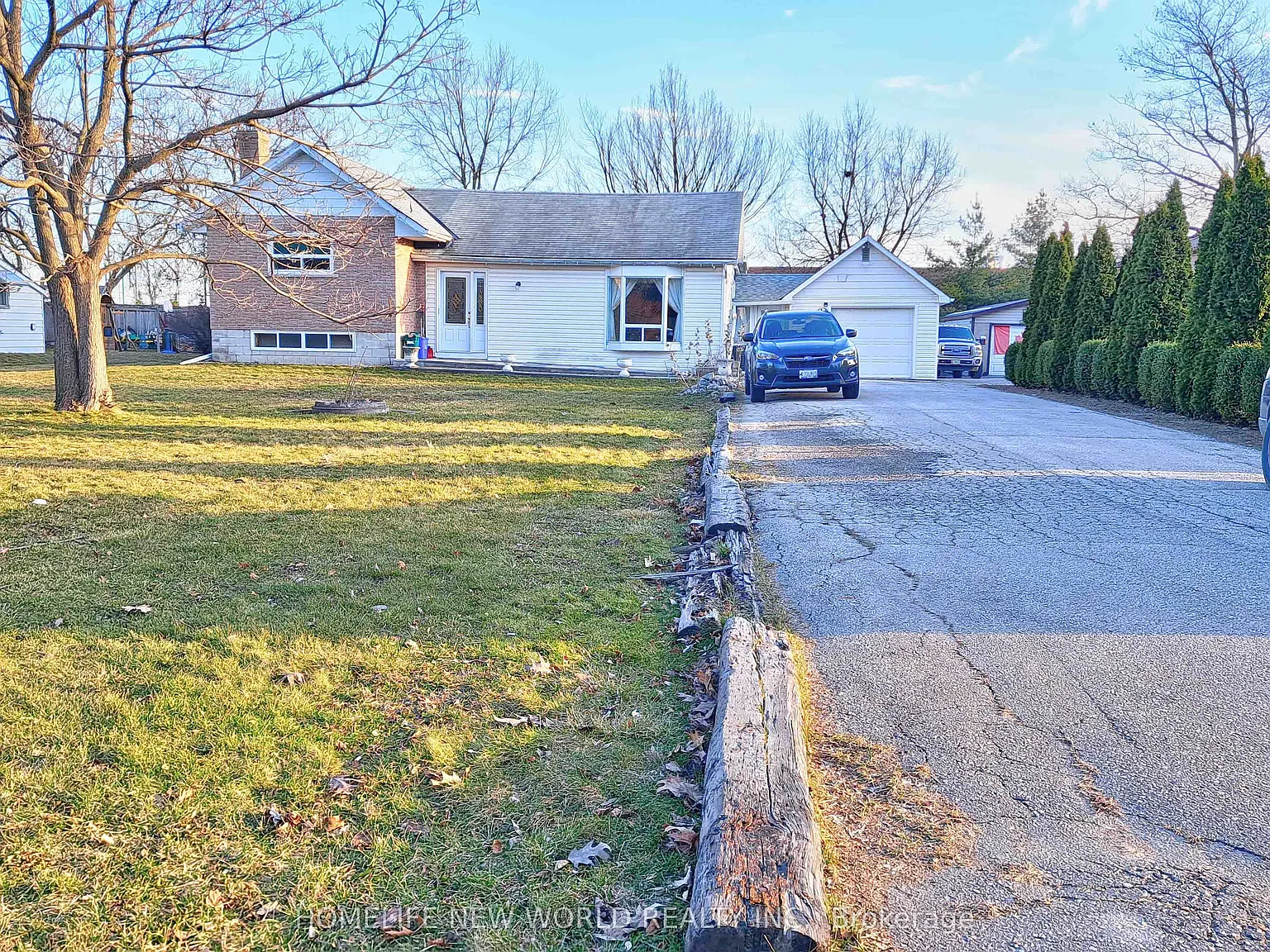 1 bed, $1,600 — Photo 3