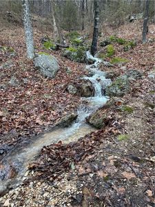 654 Mill Hollow Rd, Eureka Springs, AR, 72632