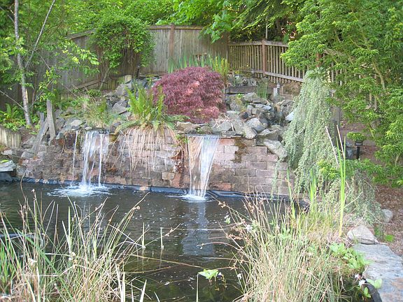 Pond With Waterfall
