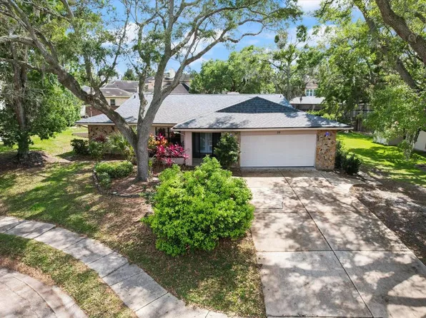 29 Pinewood Cir, Safety Harbor, FL 34695
