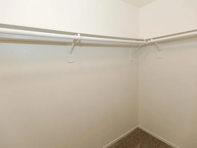 Ample walk-in closet