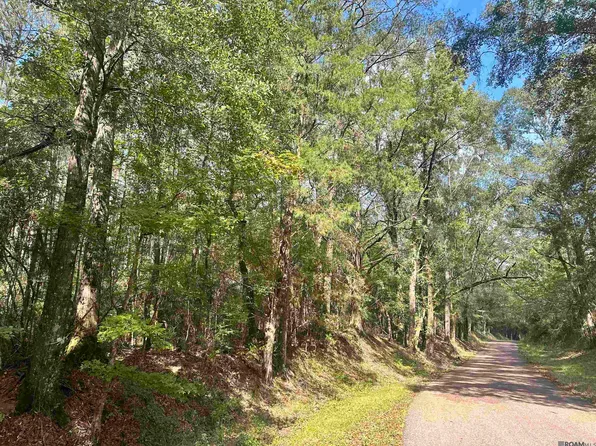 Beechgrove Rd, Clinton, LA 70722