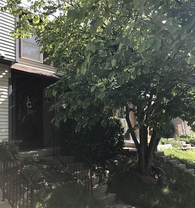 1st image of 13642 Forest Pond Ct