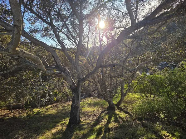 0 Longfellow Dr, Belmont, CA 94002