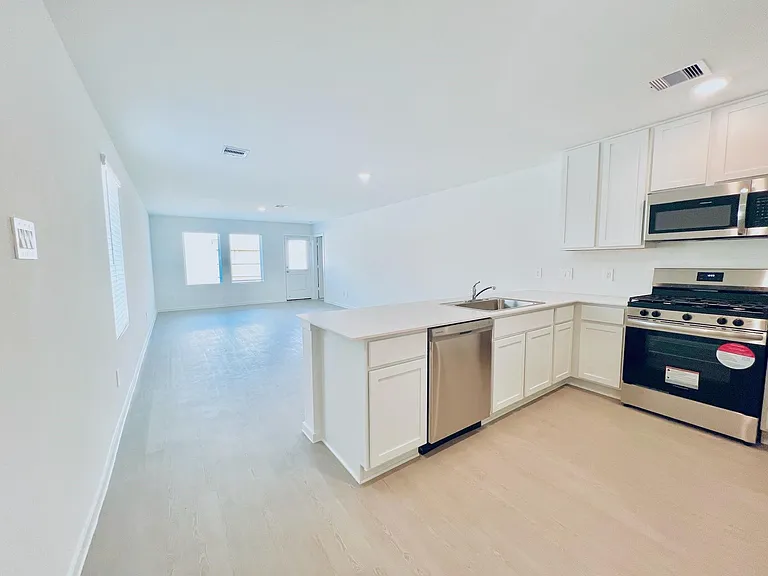 1367 Diamond Carnation Dr — Photo 3