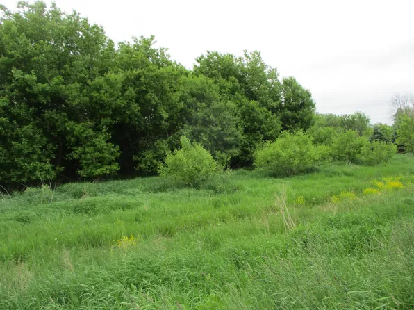2454 Johnson Rd, Belding, MI 48809