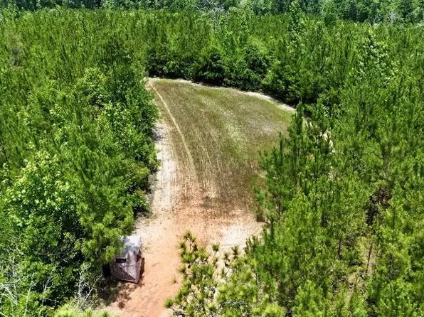 0 State Highway 10, Greenville, AL 36037