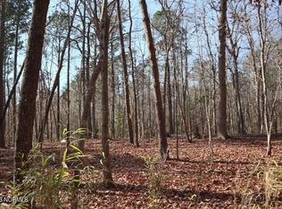 333 Elizabeth Rd, Arapahoe, NC 28510