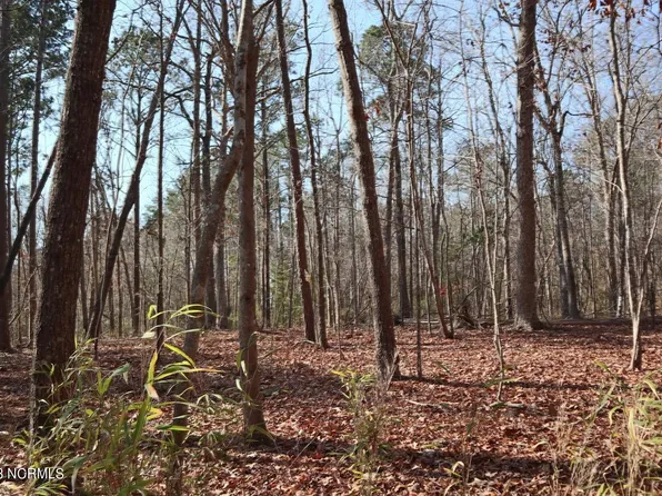 333 Elizabeth Road, Arapahoe, NC 28510