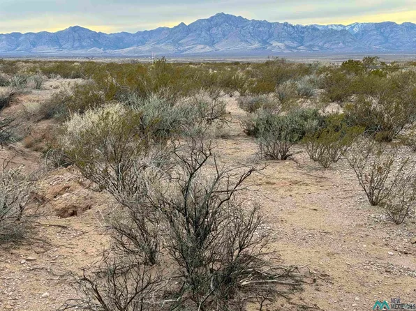 Silver Springs Rd, Rodeo, NM 88056