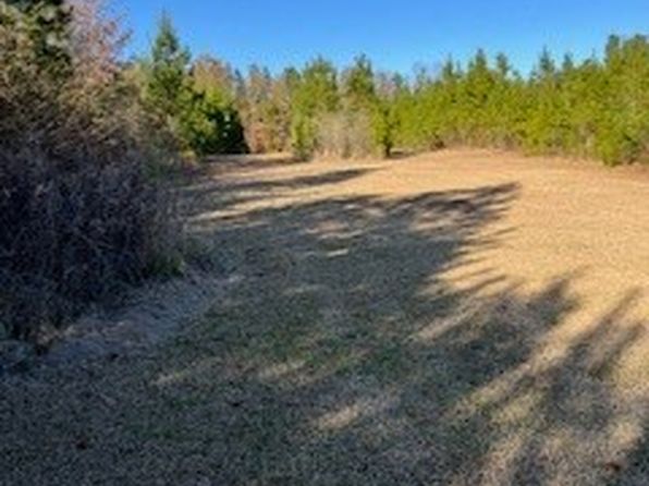 4500 Highway 106 W, Georgiana, AL 36033