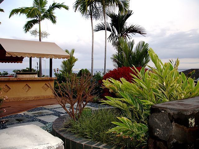 Views, views and views...