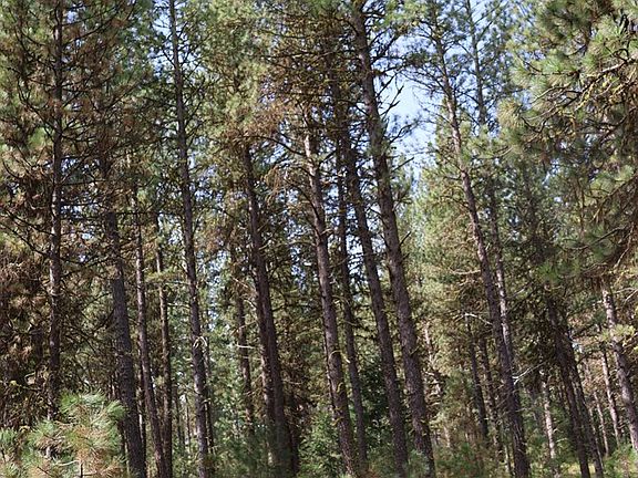 5th image of Tbd Hot Springs Rd