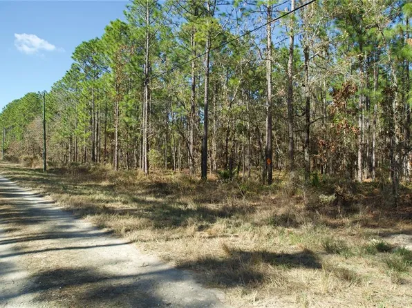Sparrow Hawk Ave, Weeki Wachee, FL 34614