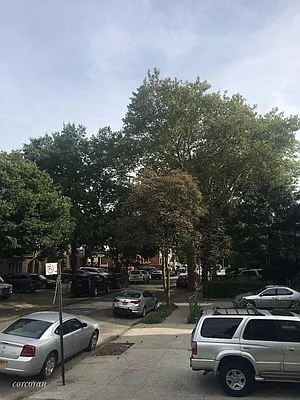 Rented by Corcoran | media 8