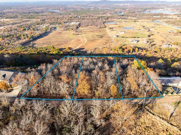 TRACT Mount Riante Rd #A, Hot Springs National Park, AR 71913