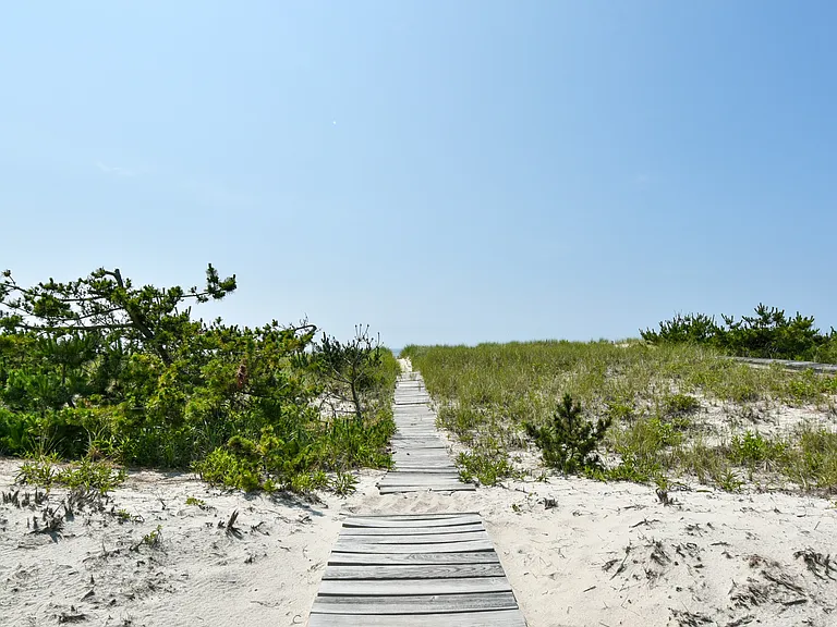 Dune Rd — Photo 23