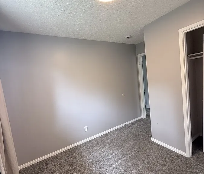 242 Carleton Dr — Photo 6