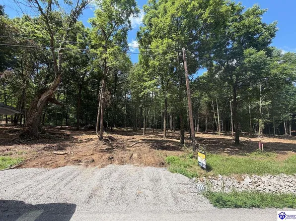 16 Redhawk, Rineyville, KY 40162