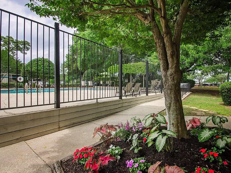 Robinwood — Photo 10
