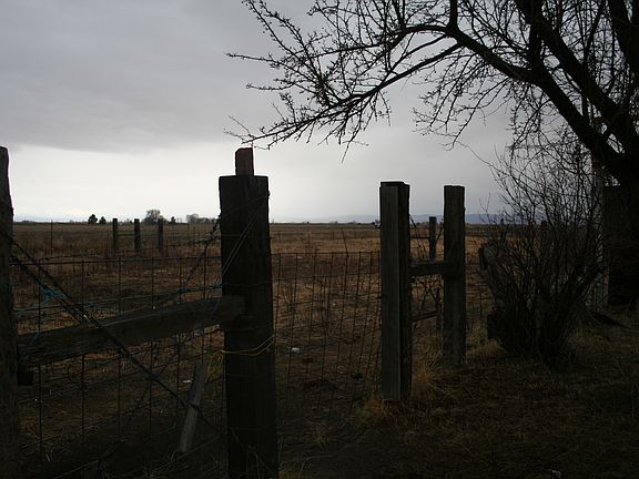 South Pasture
